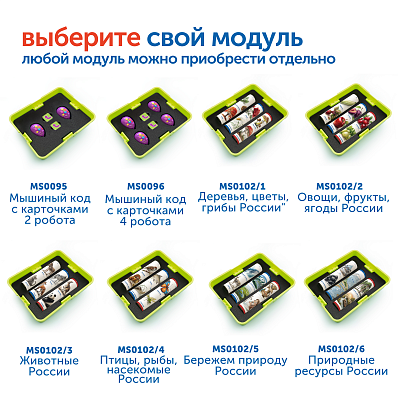 MS0102/4 Модуль "Птицы, рыбы, насекомые России"