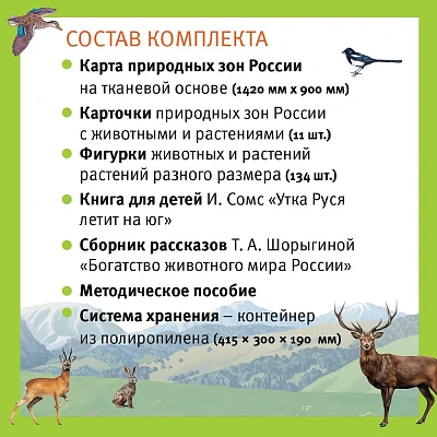 Путешествие по России утки Руси. Настольная игра